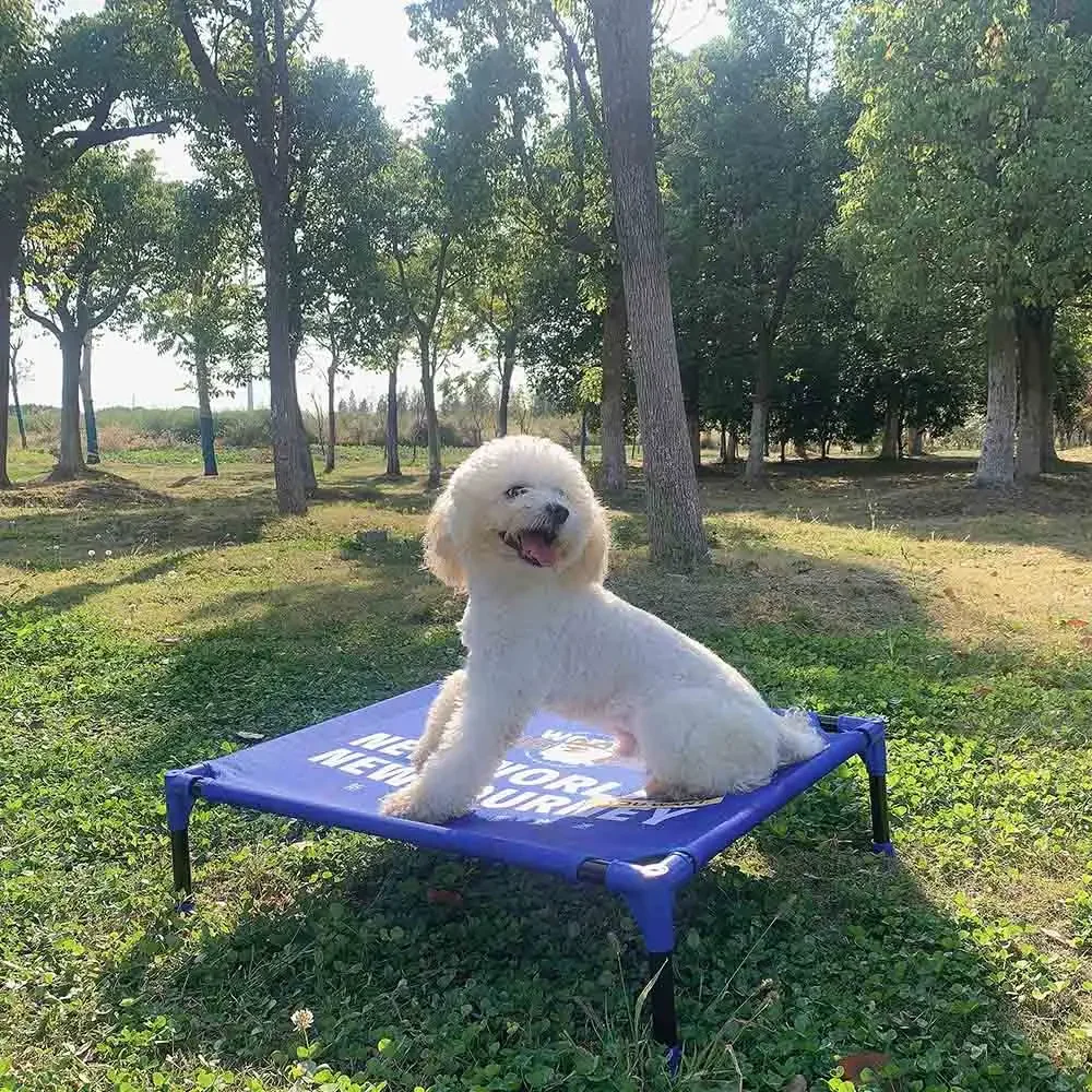 Cama Elevada Portátil para Cãe - Outdoor Camping Dog Bed avaliação e preço